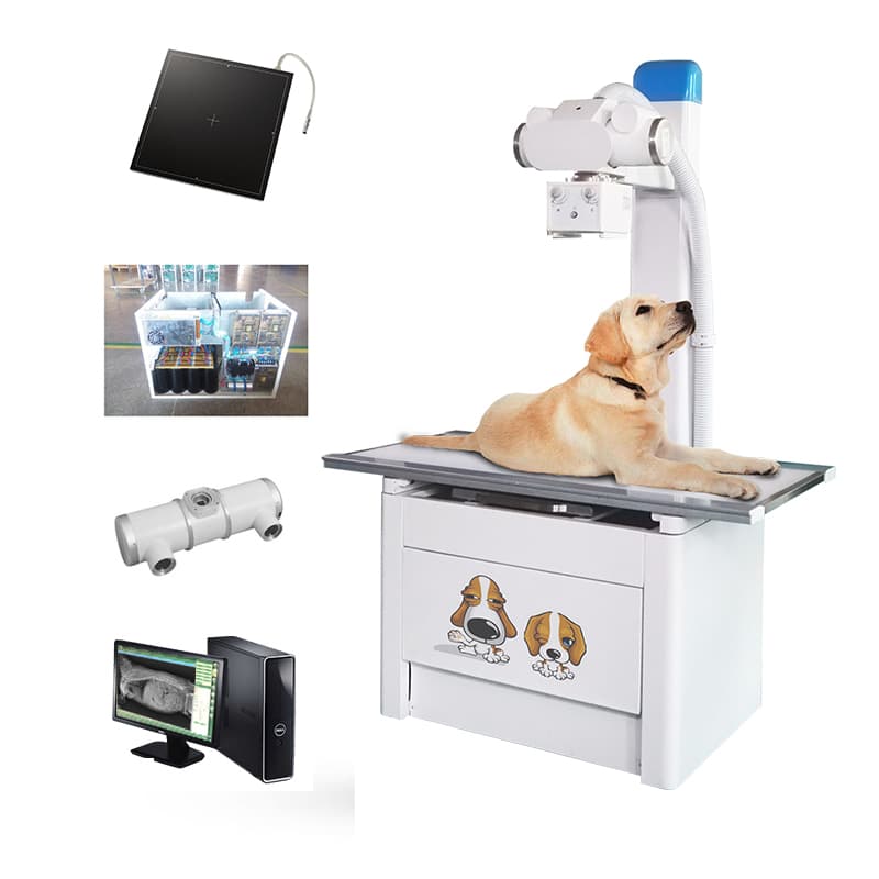 宠物DR/动物DR/兽用DR