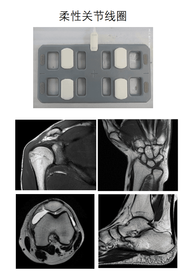 核磁共振8通道柔性关节线圈 1